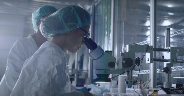 Foto - Küreselciler insanlığı robotlaştırmak için iş başında! Ve Elon Musk çipi tanıttı