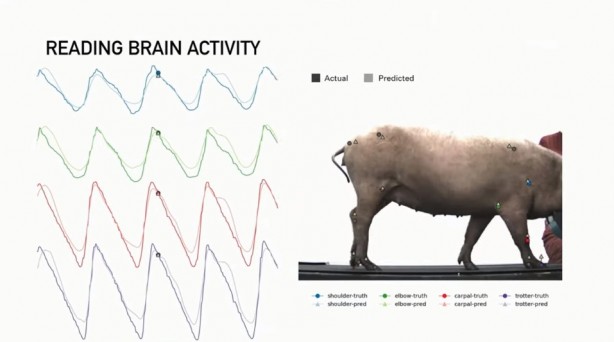 Foto - Küreselciler insanlığı robotlaştırmak için iş başında! Ve Elon Musk çipi tanıttı