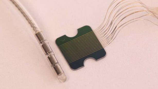 Foto - Küreselciler insanlığı robotlaştırmak için iş başında! Ve Elon Musk çipi tanıttı