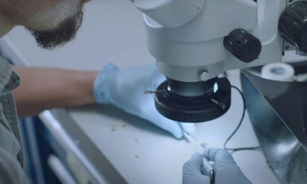 Foto - Küreselciler insanlığı robotlaştırmak için iş başında! Ve Elon Musk çipi tanıttı