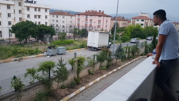 Foto - Kurnaz tilkinin yaptıklarını görenler gözlerine inanamadı