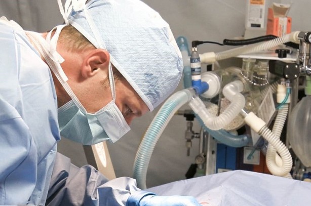 Foto - Kurtardıkları yavruların köpek olmadığını anlayınca şok oldular