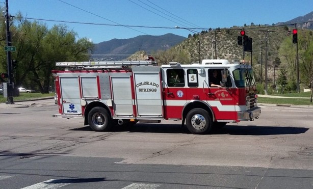 Foto - Kurtardıkları yavruların köpek olmadığını anlayınca şok oldular
