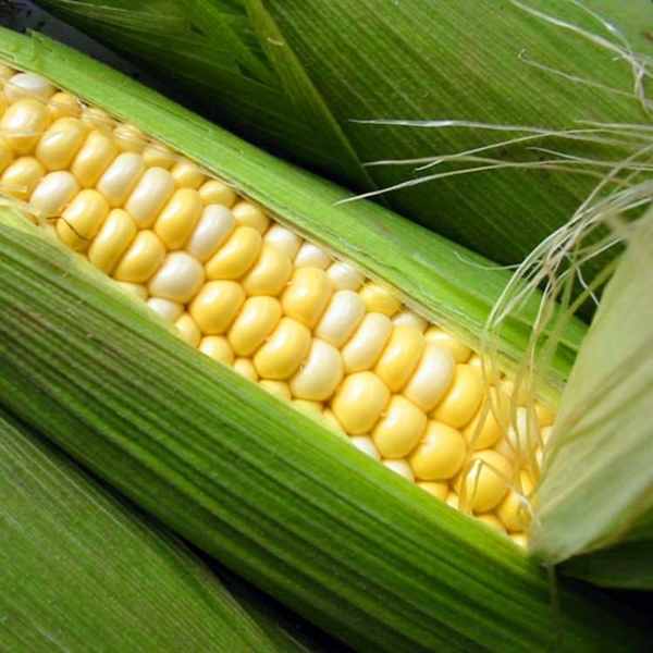 Foto - Kuru yemişleri dikkatli tüketin! İşte kalorileri...