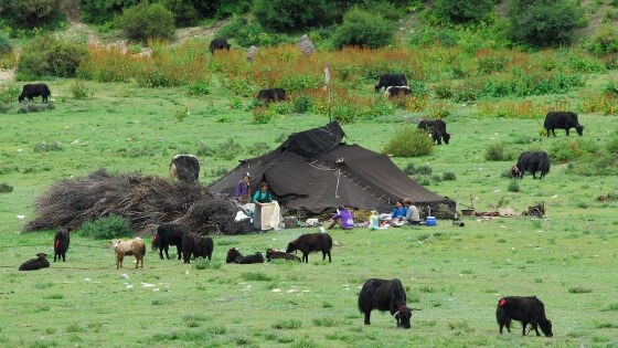 Foto - Kuruluş Osman'ın son bölümünden sonra çok konuşuldu! Osman Gazi nasıl bey oldu?