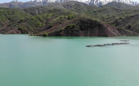 Foto - Kurumaya yüz tutan Gökçedere Göleti'nden güzel haber