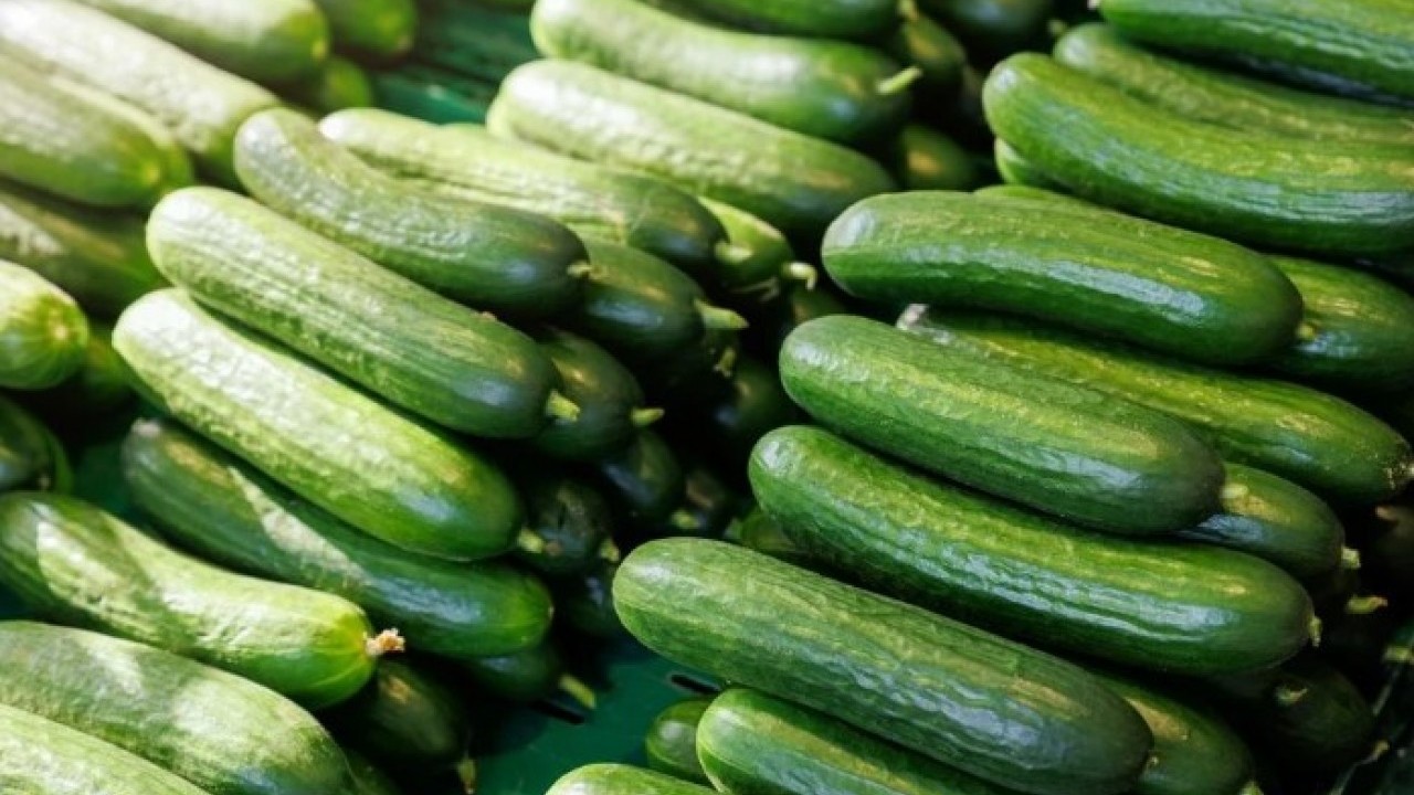 Foto - Kurumuş ve solgun görüntüye son! Salatalığı canlı tutmanın doğal yolu açıklandı