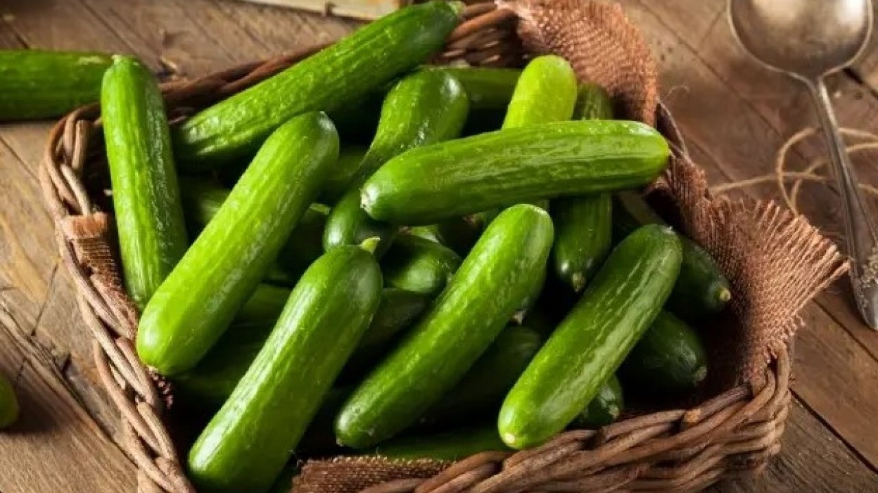 Kurumuş ve solgun görüntüye son! Salatalığı canlı tutmanın doğal yolu açıklandı