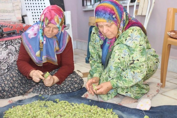 Foto - Kurusu 4 kat daha pahalı! 'Altınla yarışıyor'