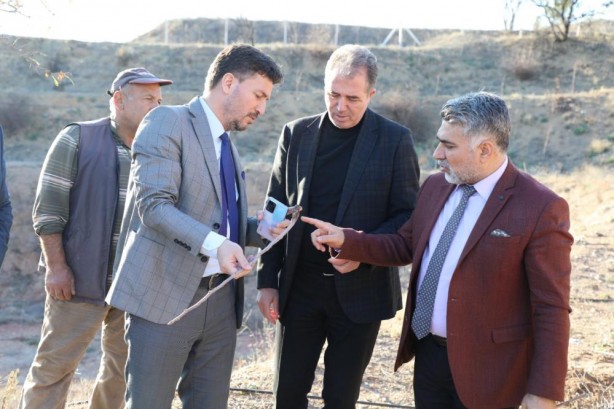 Kuruyan fidanların yerine yenisi dikildi