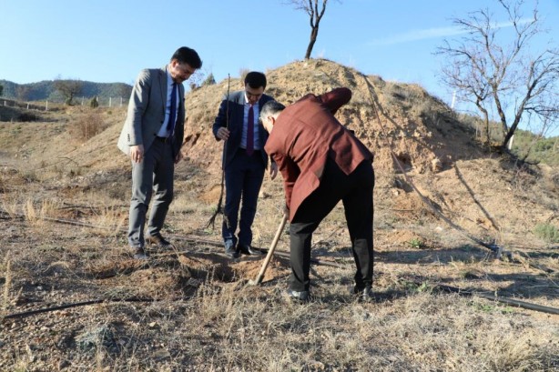 Foto - Kuruyan fidanların yerine yenisi dikildi