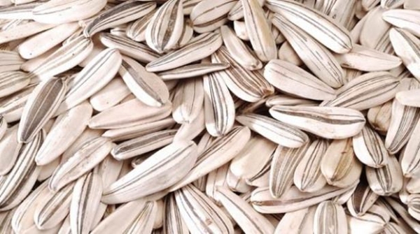 Foto - Kuruyemişin hiç bilmediğimiz faydaları