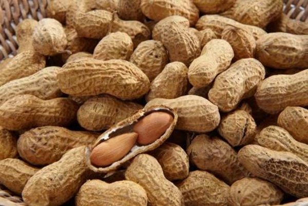 Foto - Kuruyemişin hiç bilmediğimiz faydaları