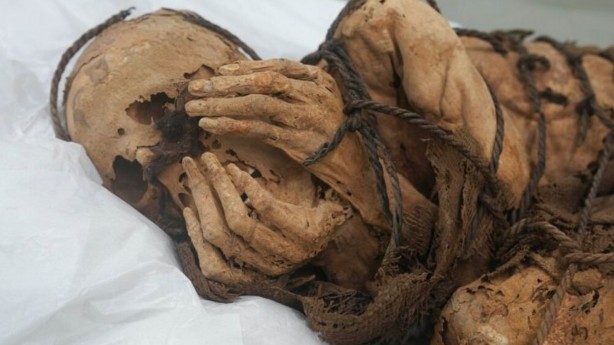 Kuryenin çantasından çıkan "sevgilisi" şoke etti! Dünya bunu konuşuyor