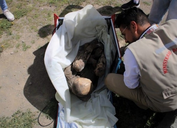 Foto - Kuryenin çantasından çıkan "sevgilisi" şoke etti! Dünya bunu konuşuyor