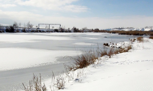 Foto - Kuş cenneti buz tuttu! İşte o manzara