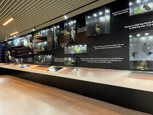 Foto - Kuş Cenneti Milli Parkı'ndaki taksidermiler kayboldu