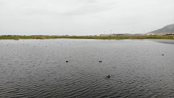 Foto - Kuş cenneti toz duman altında kaldı