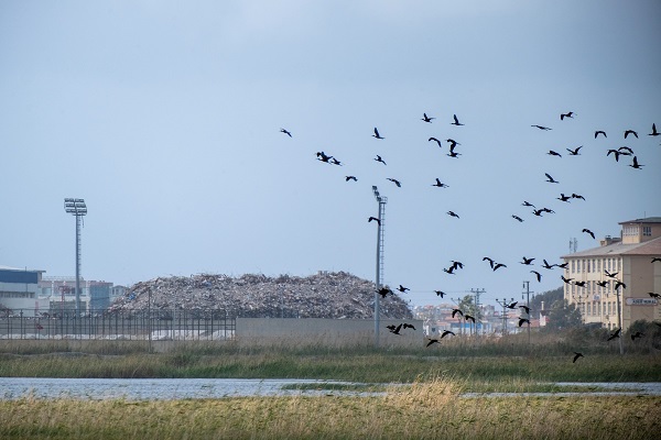 Foto - Kuş cenneti toz duman altında kaldı