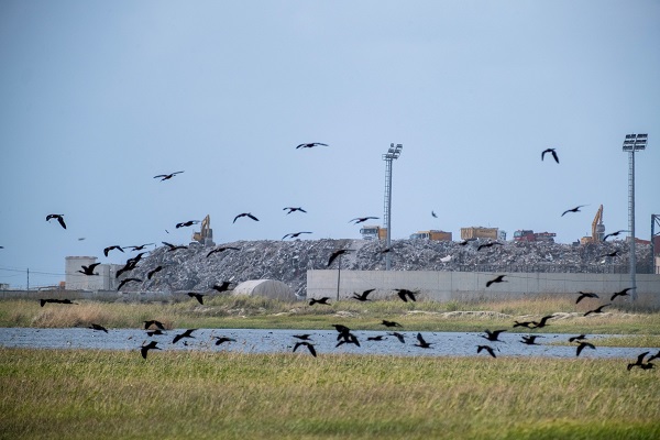 Foto - Kuş cenneti toz duman altında kaldı