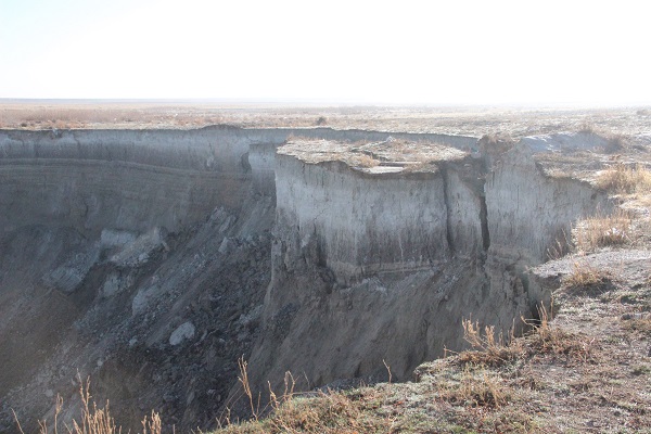 Kuş cennetinin suyu çekilince ortaya çıktı! Görenler ne olduğunu anlayamadı