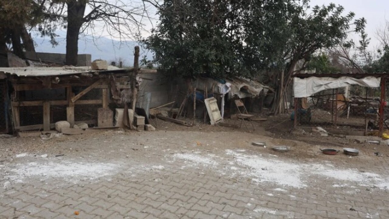 Foto - ‘Kuş vebası’ tespit edildi! 338 kanatlı hayvan itilaf edildi