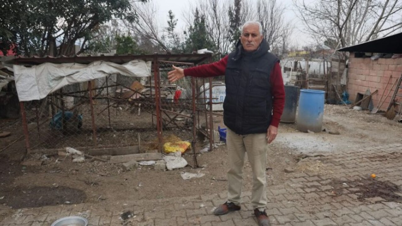 Foto - ‘Kuş vebası’ tespit edildi! 338 kanatlı hayvan itilaf edildi