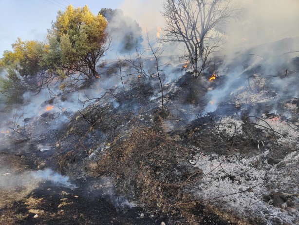 Foto - Kuşadası'ndaki ağaçlık ve çalılık alanda yürekleri ağza getiren yangın!