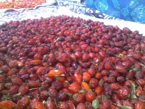 Foto - Kuşburnunun yararları say say bitmiyor!