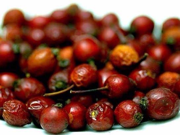 Foto - Kuşburnunun yararları say say bitmiyor!