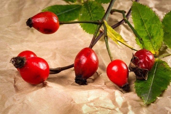 Foto - Kuşburnunun yararları say say bitmiyor!