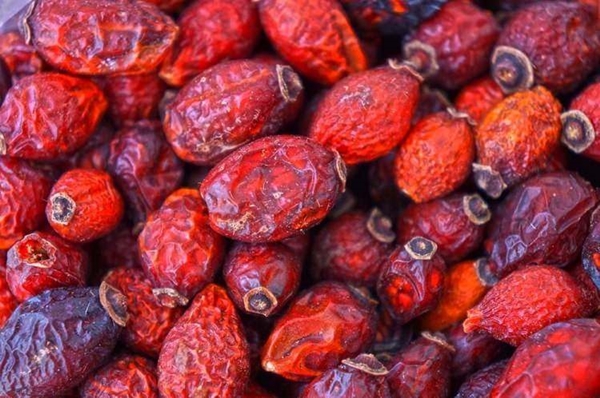 Foto - Kuşburnunun yararları say say bitmiyor!