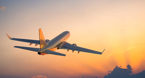 Foto - Kuşlar uçağın peşini bırakmadı! Nedenini anlayan pilot ağlama krizine girdi, kimse sakinleştiremedi