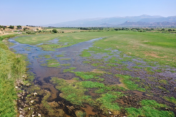 Foto - Kuşlara umut oldu! Marmara Gölü kuruyunca bakın kuşlar çözümü nasıl buldu