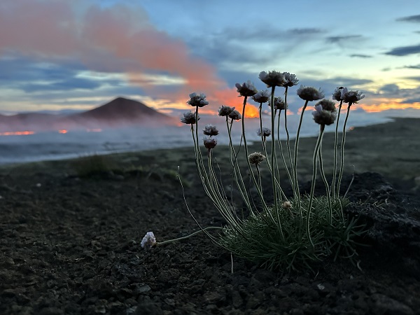 Foto - Kuşları izlemek için gitti yanardağ patlamasına denk geldi
