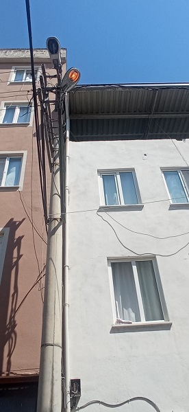 Foto - Kuşların yaptığı yuva herkesi şaşırttı