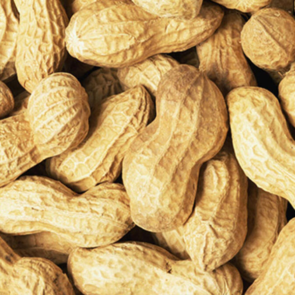 Foto - Kusma, kanlı ishal, bayılma... Bu besinlere dikkat!