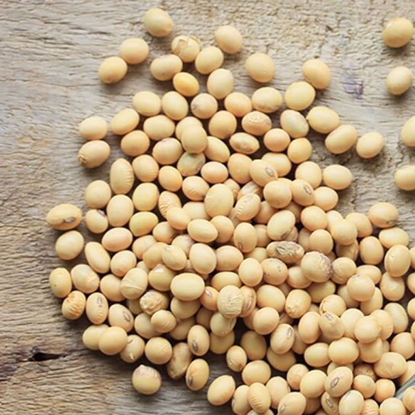 Foto - Kusma, kanlı ishal, bayılma... Bu besinlere dikkat!