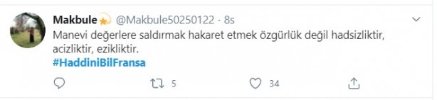 Foto - Küstah Macron'dan Peygamberimiz'e hakarete destek! Ey kafirler yenileceksiniz ve Cehennem'e sürüleceksiniz!