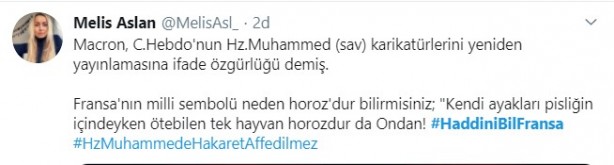 Foto - Küstah Macron'dan Peygamberimiz'e hakarete destek! Ey kafirler yenileceksiniz ve Cehennem'e sürüleceksiniz!