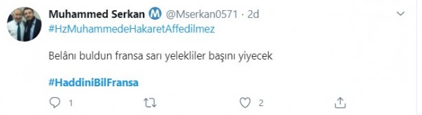 Foto - Küstah Macron'dan Peygamberimiz'e hakarete destek! Ey kafirler yenileceksiniz ve Cehennem'e sürüleceksiniz!