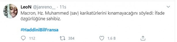 Foto - Küstah Macron'dan Peygamberimiz'e hakarete destek! Ey kafirler yenileceksiniz ve Cehennem'e sürüleceksiniz!