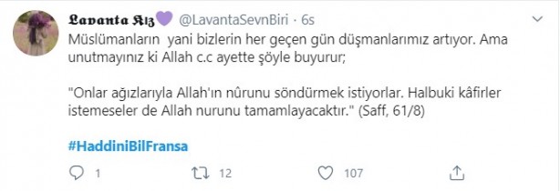 Foto - Küstah Macron'dan Peygamberimiz'e hakarete destek! Ey kafirler yenileceksiniz ve Cehennem'e sürüleceksiniz!