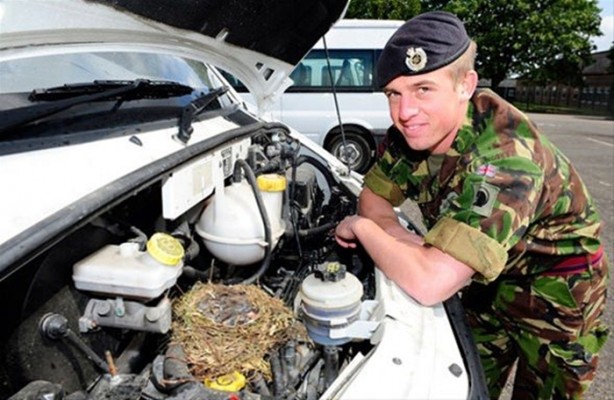 Foto - Kuştan mühendislik harikası!