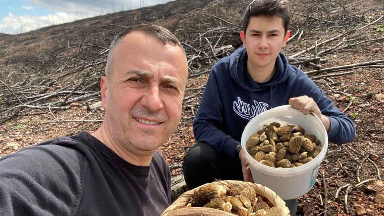 Kütahya'da baba oğul resmen hazine buldu: Sepetleri ağzına kadar doldurdular