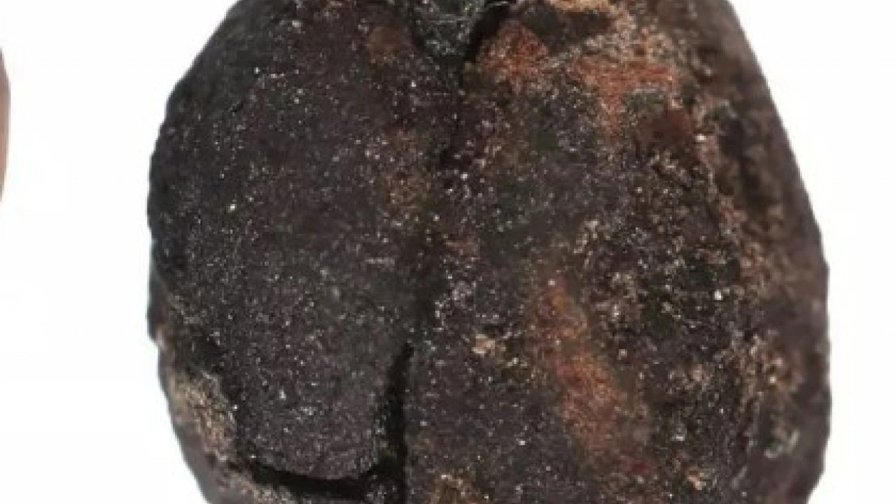 Foto - Kütahya'da heyecanlandıran keşif: Biri 4, diğeri 8 bin yıllık!