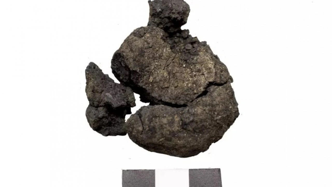 Foto - Kütahya'da heyecanlandıran keşif: Biri 4, diğeri 8 bin yıllık!