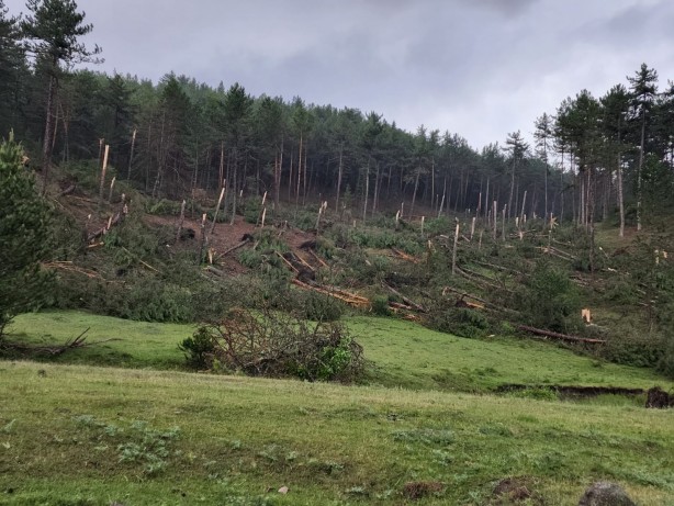Foto - Kütahya'da hortum paniği! Korku dolu anlar yaşandı