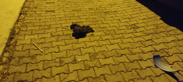 Foto - Kütahya'da yabancı uyruklu iki grup arasında kavga: 2 yaralı