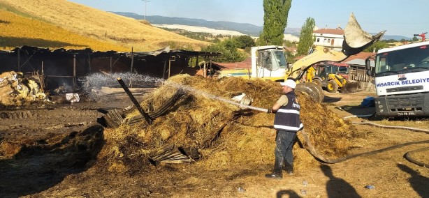 Foto - Kütahya'da yangın! 3 büyükbaş hayvan yanarak can verdi